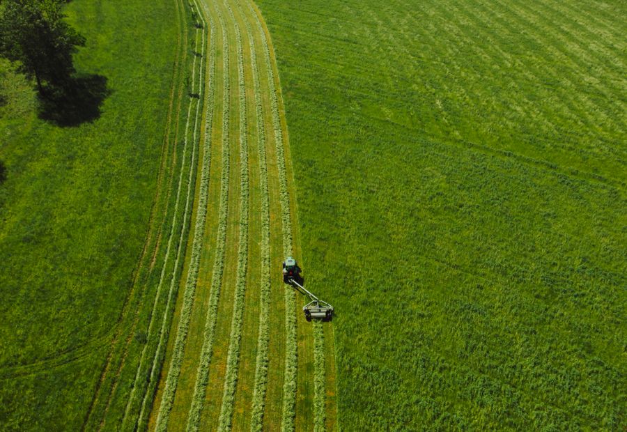 Rotary cutter mowing a grown up hay field on rural Greene County ground